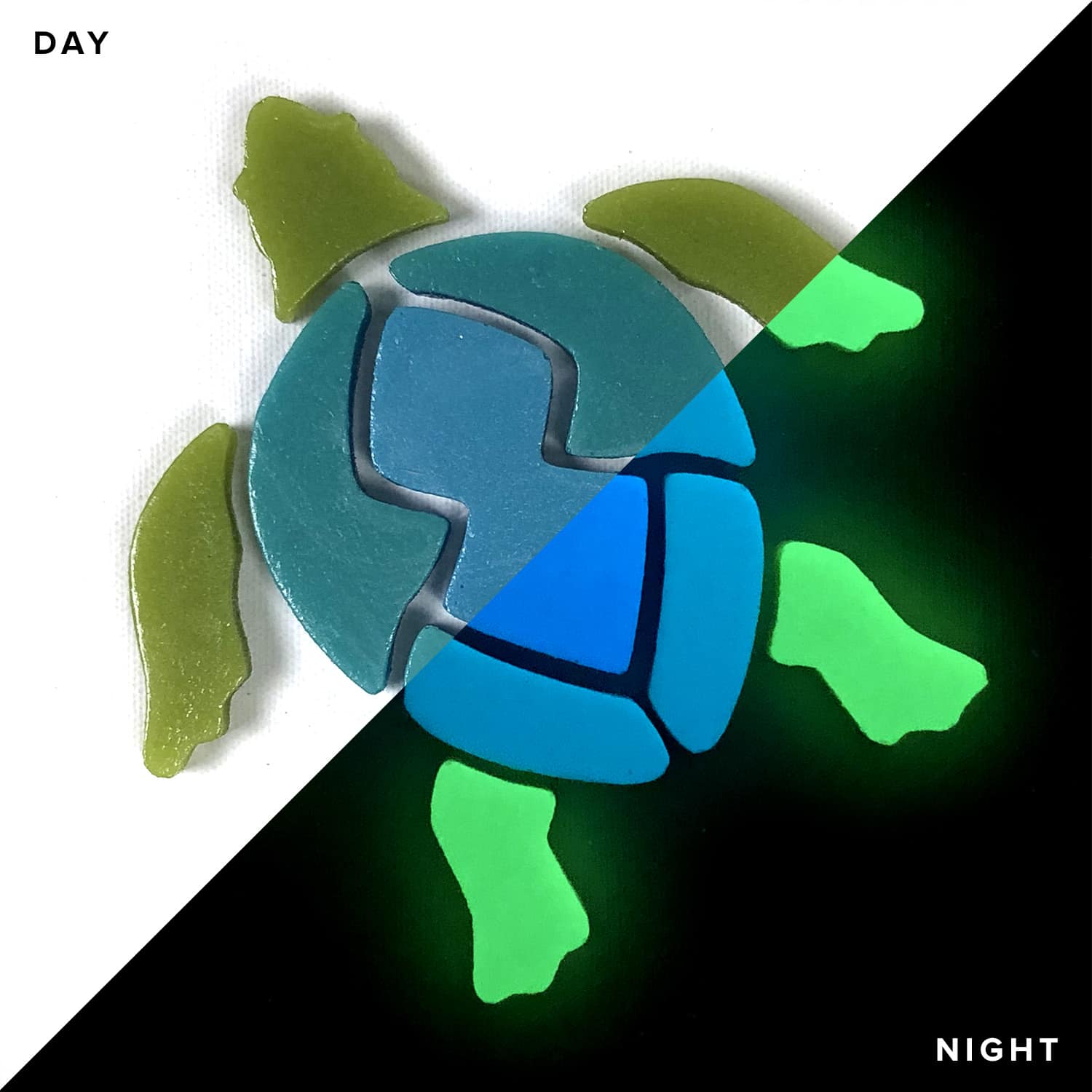 Glow in the Dark Swimming Turtle Questions & Answers